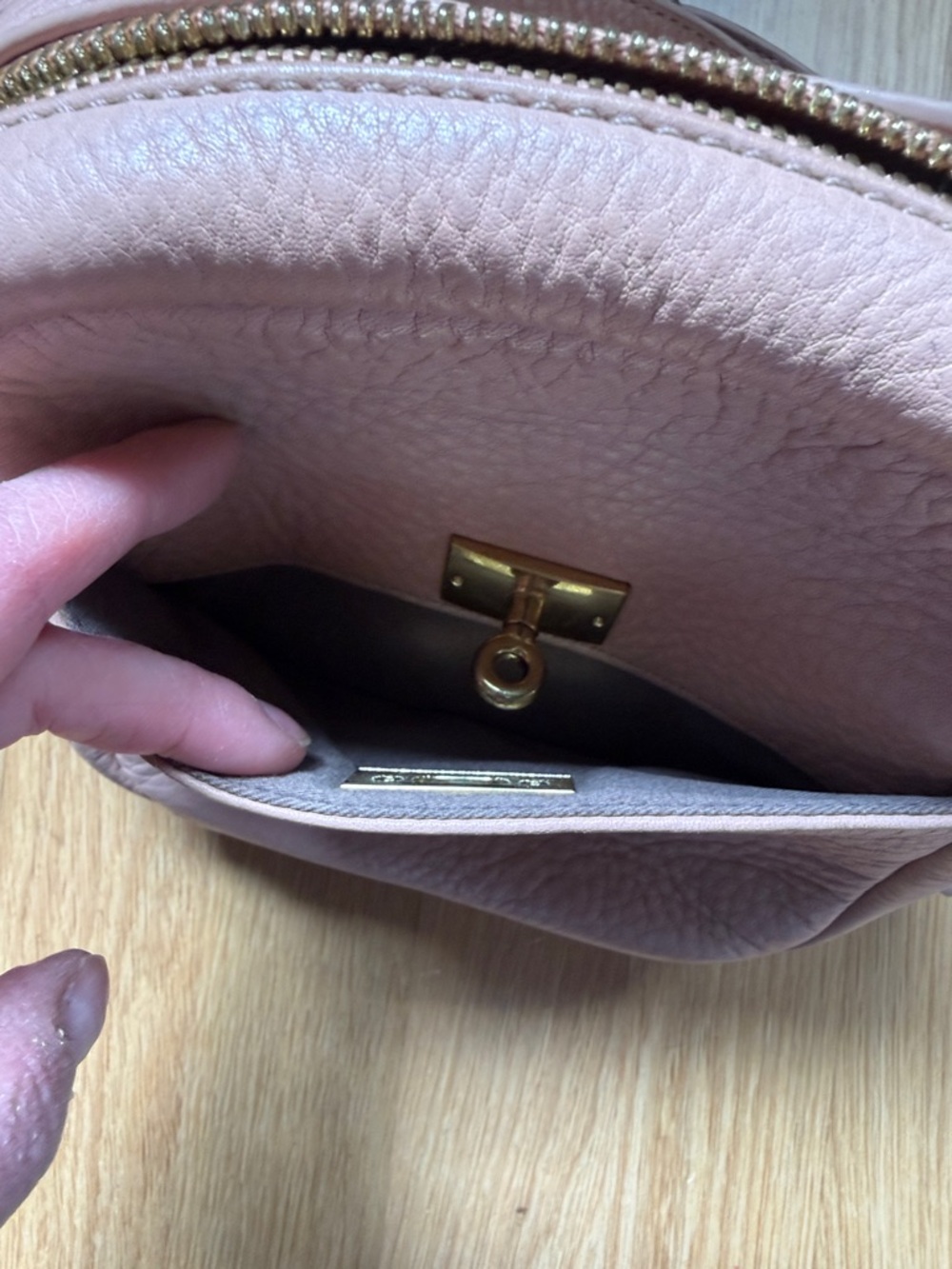 J. Crew Blush Pebbled Leather Crossbody with Gold Hardware - Picture 11 of 16